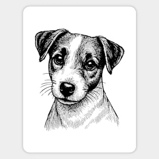 Jack Russell Terrier Magnet